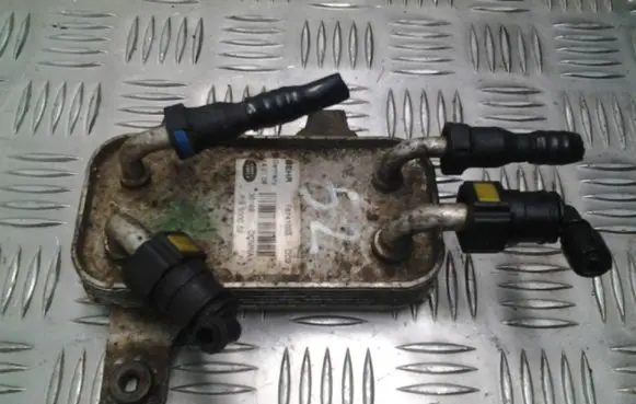 Land Rover Range Rover Sport L320 Fuel injection (other) PIB500052