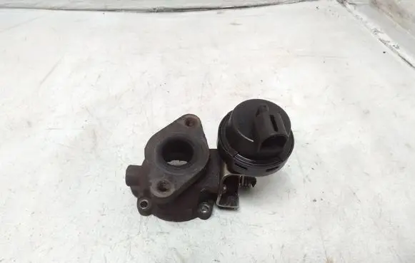 EGR valve