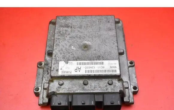 Engine control unit/module ECU