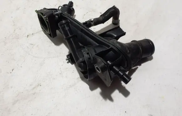 Thermostat/thermostat housing