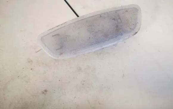 Rear seat light