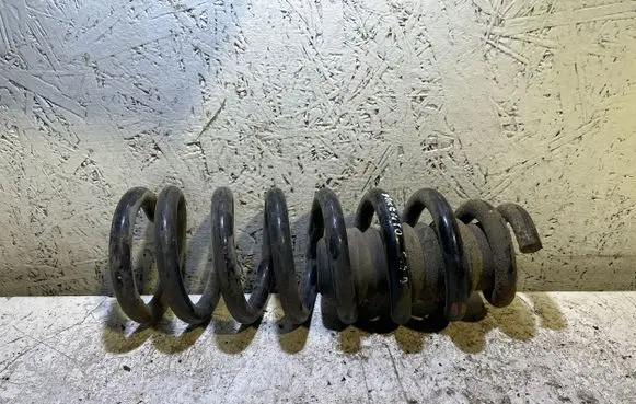 Front coil spring