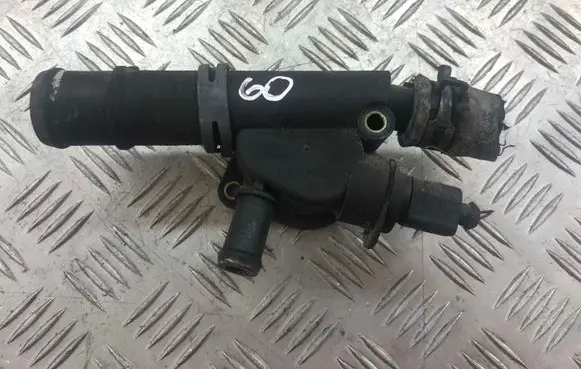 Thermostat/thermostat housing