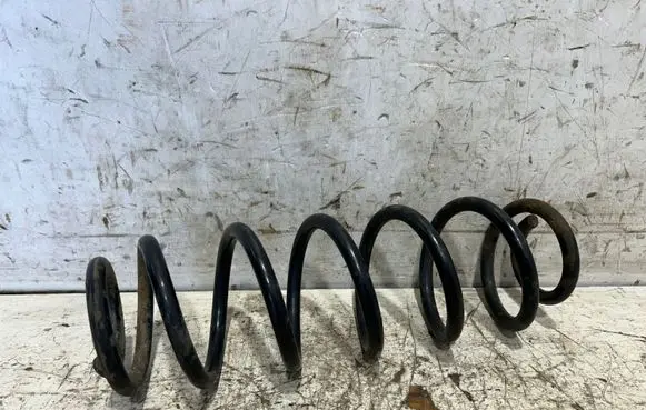 Volkswagen Golf V Rear coil spring