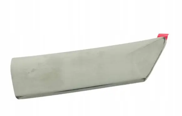 Fiat Palio Front door trim (molding) 100151153