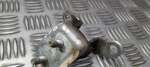 Rear door lower hinge