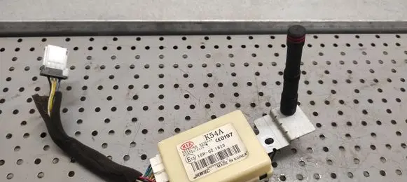 KIA Carnival Immobilizer control unit/module 10R021820 0197 OK54A677RO
