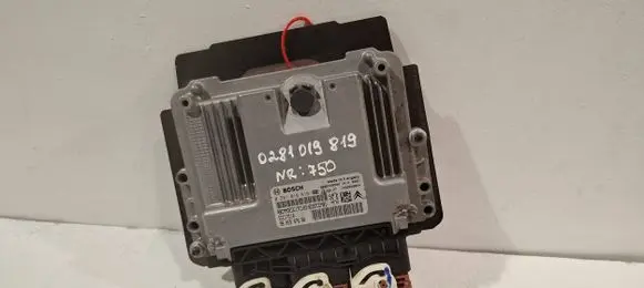 Citroen C4 II Engine control unit/module 0281019819 9666729580 9805947680