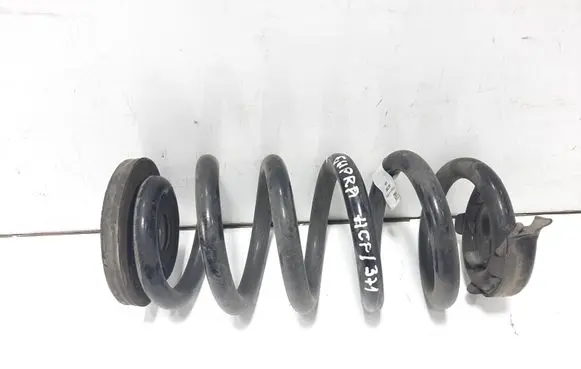 Cupra Born Rear coil spring 1EA511103Q