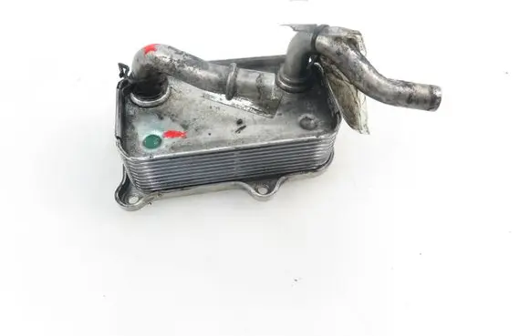 Mercedes-Benz CL C215 Engine oil radiator 