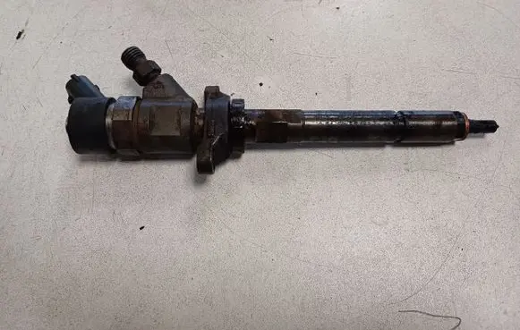 Citroen C4 I Fuel injector 0445110239