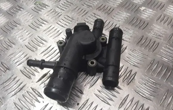 Thermostat/thermostat housing