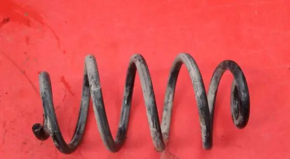 Nissan Juke I F15 Rear coil spring