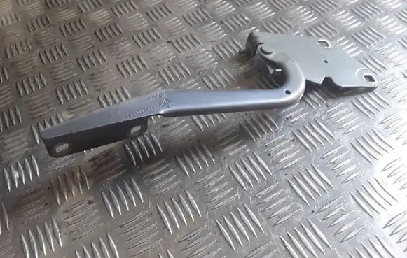 Renault Megane III Engine bonnet/hood hinges 654010003R