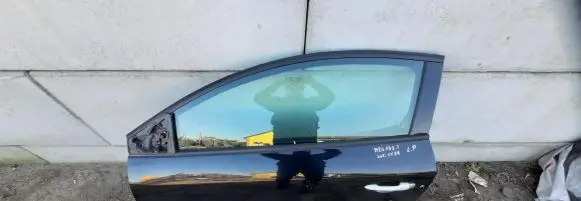Renault Megane III Front door TEGNE
