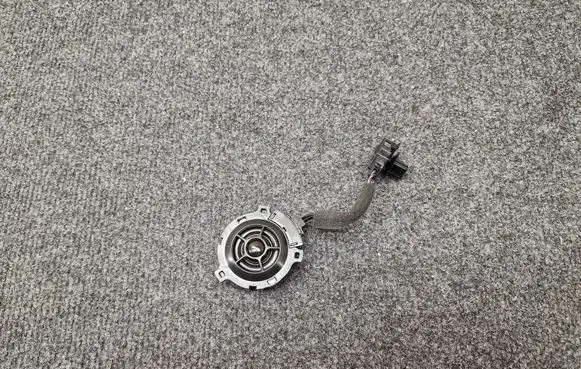 Cupra Born Front door high frequency speaker 10A035411