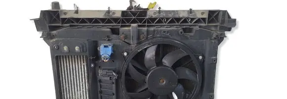 Citroen Berlingo Radiator support slam panel 