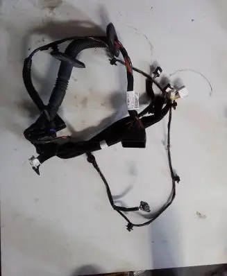 Front door wiring loom