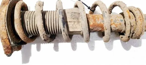 Toyota Corolla Verso AR10 Rear coil spring 