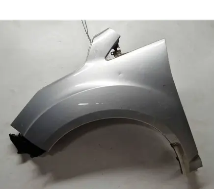 Fender
