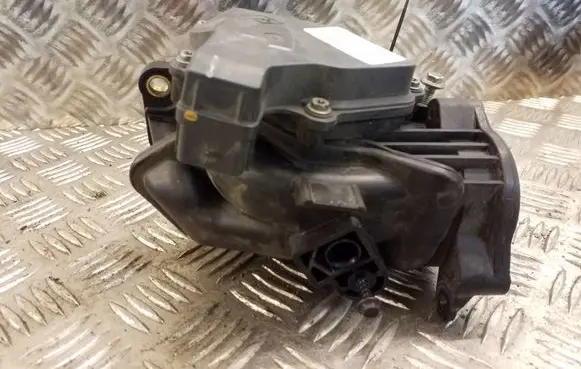 Renault Trafic III (X82) Throttle valve A2C53350932
