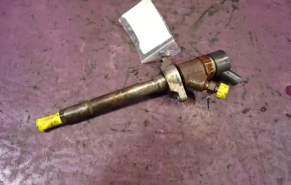 Citroen Xsara Picasso Fuel injector 