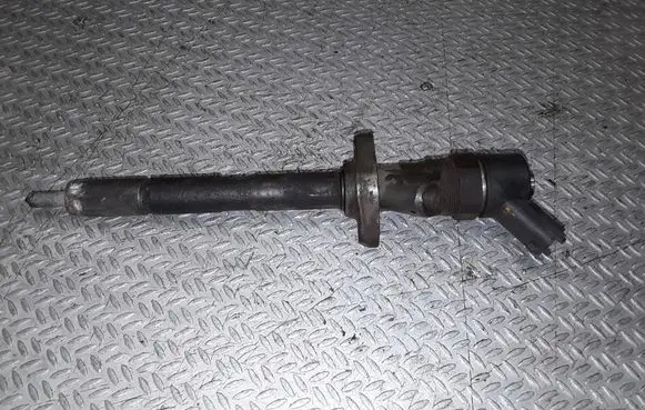 Peugeot 607 Fuel injector 0445110036