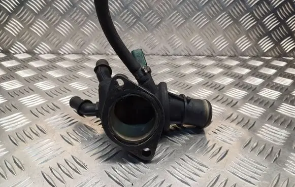 Thermostat/thermostat housing