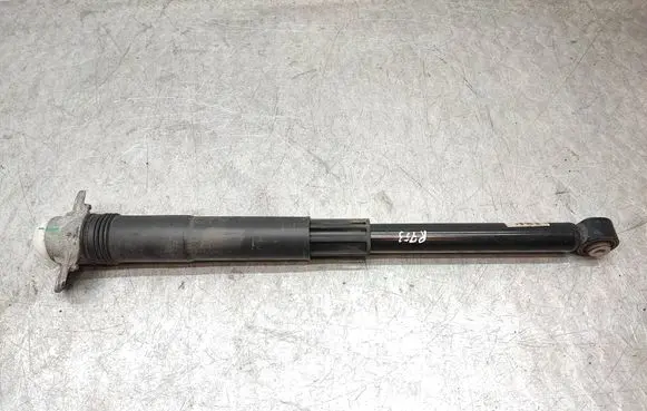 Volkswagen T-Cross Rear shock absorber/damper 2Q0512013CT 8014010005