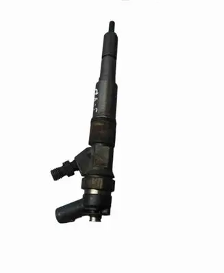 BMW X5 E53 Fuel injector 7789661
