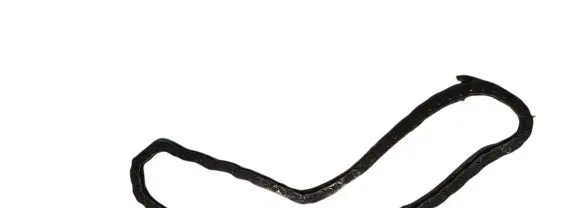 BMW X5 E53 Timing chain (engine) NOCODE