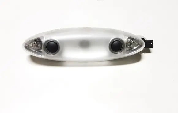 Rear seat light