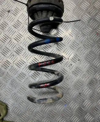 Rear coil spring