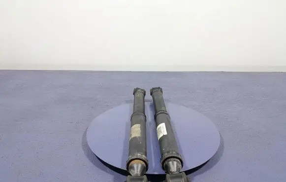 Citroen C3 Aircross Rear shock absorber/damper 9821016680