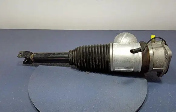 Volkswagen Phaeton Rear shock absorber/damper 3D0616001N
