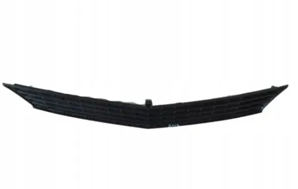 Mercedes-Benz A W169 Front bumper lower grill A1698850123
