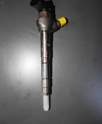 Audi Q5 SQ5 Fuel injector 0445111015