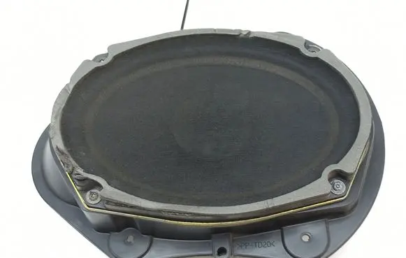 Chrysler 300 - 300C Front door speaker P05059067AC