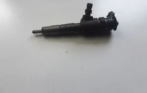 Ford Transit - Tourneo Connect Fuel injector 0445110489