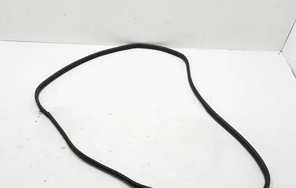 Opel Vivaro Front door rubber seal 808320619R