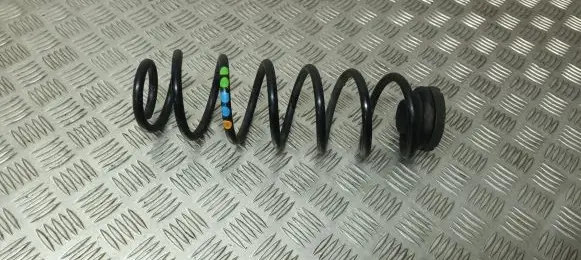 Rear coil spring