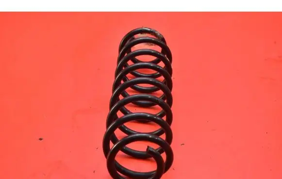 Skoda Fabia Mk3 (NJ) Rear coil spring