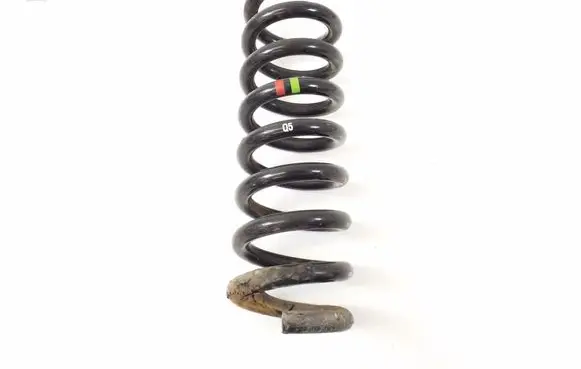 Rear coil spring