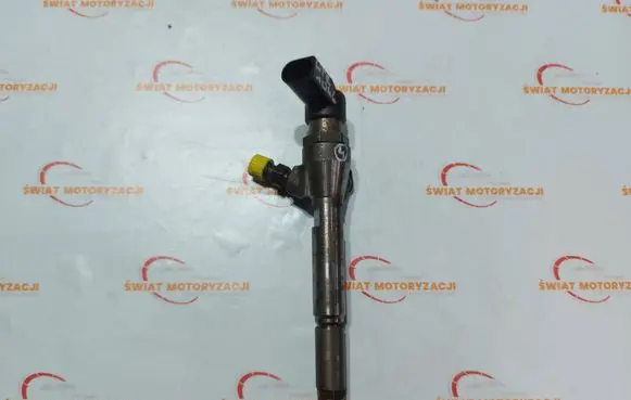 Nissan Qashqai Fuel injector H8200294788