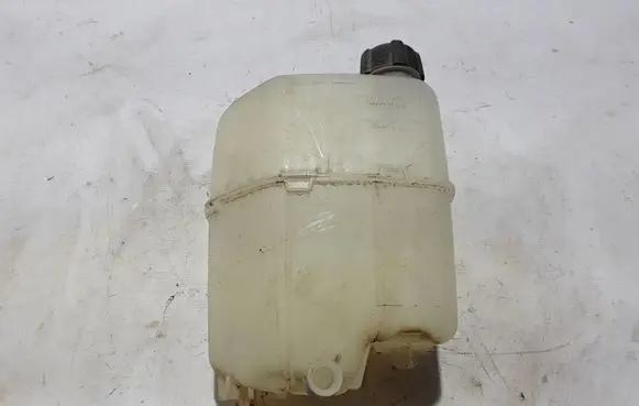 Renault Kangoo II Coolant expansion tank/reservoir 929A02941R