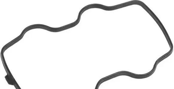 Dacia Duster II Front door rubber seal J1226001