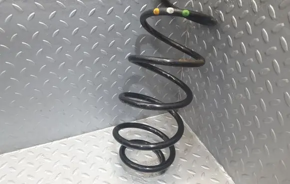 Citroen DS4 Front coil spring 5002TG