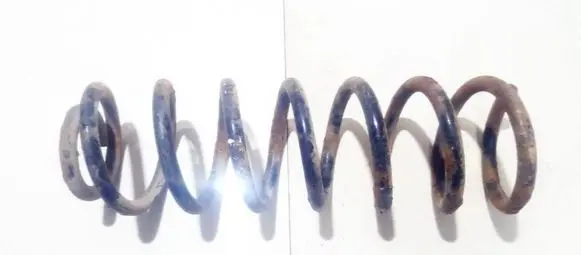 Rear coil spring