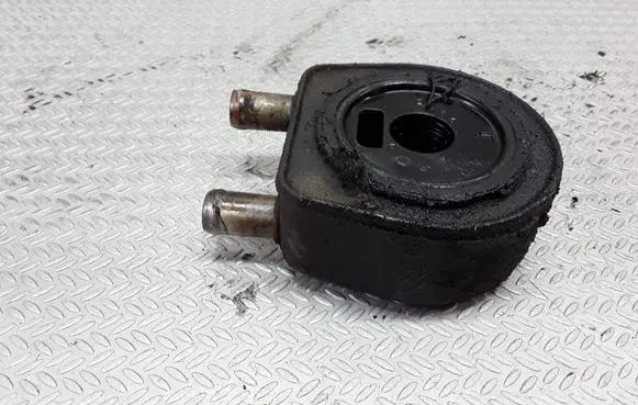 Renault Scenic I Oil filter mounting bracket