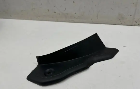 Rear/tail light trim molding